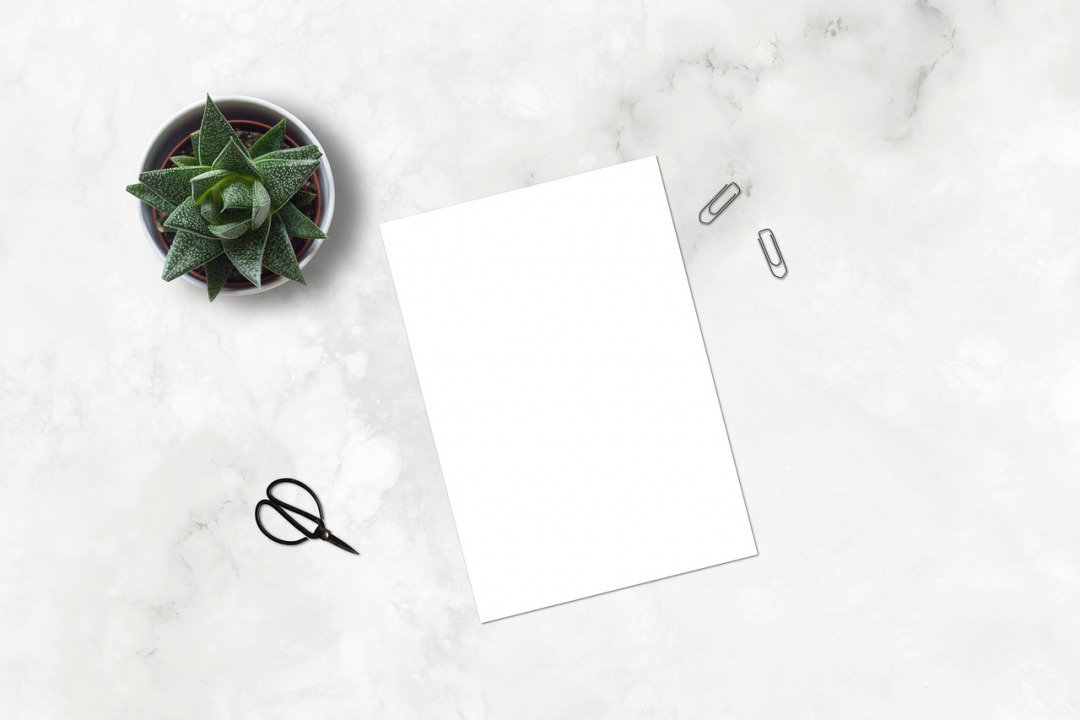 products flatlay ecommerce